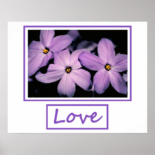 Affiches Amour (Devant)