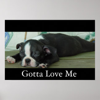 Affiches Amour De Boston