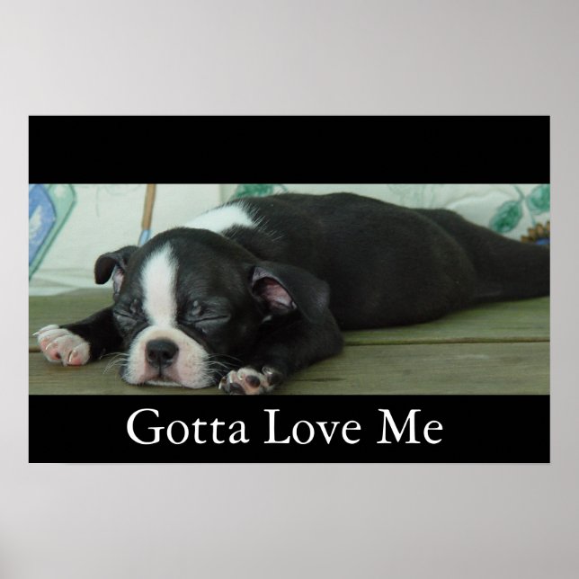 Affiches Amour De Boston (Devant)