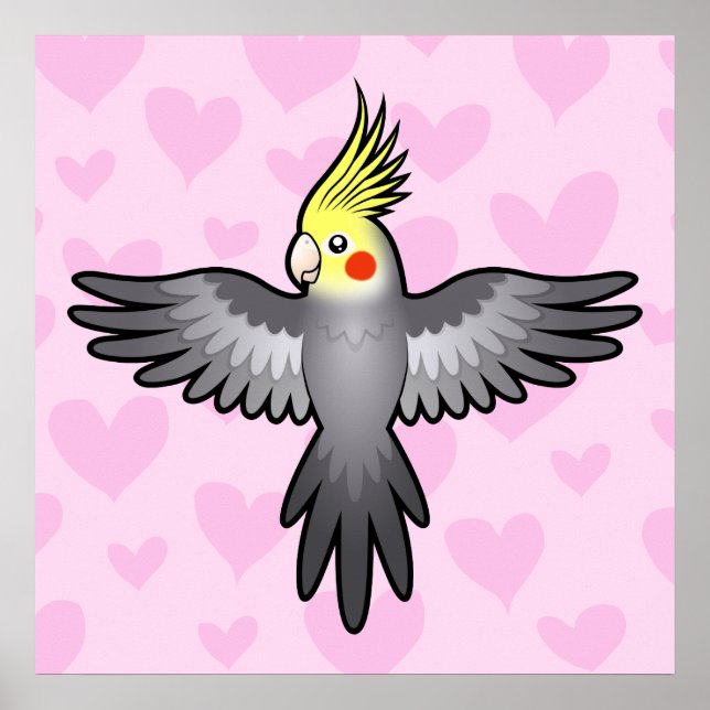 Affiches Amour de calopsitte (Devant)