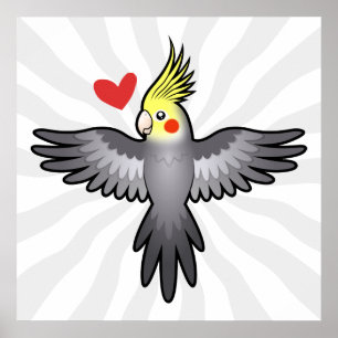 Affiches Amour de calopsitte