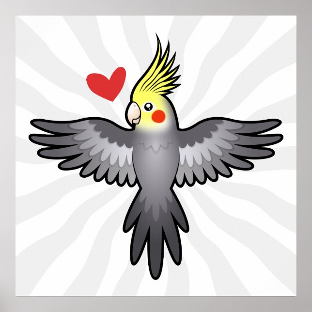 Affiches Amour de calopsitte (Devant)
