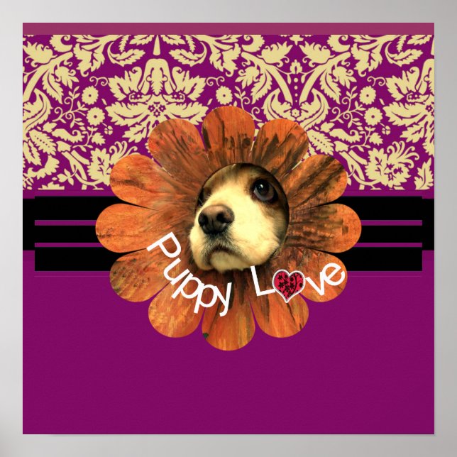 Affiches Amour de chiot (Devant)