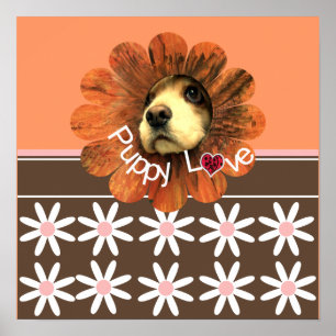 Affiches Amour de chiots