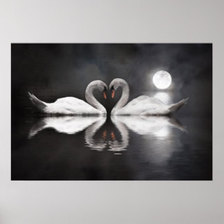Affiches Amour du lac de Swan