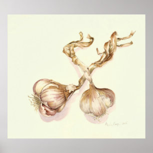 Affiches Ampoules d'ail 2005