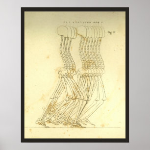 Affiches Analyse de la démarche à pied Chiropratique de la 