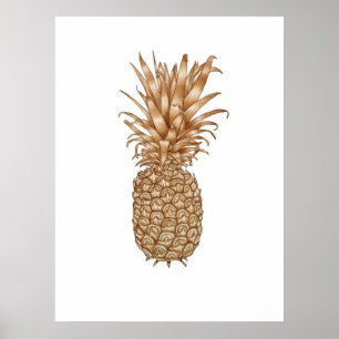 Affiches Ananas Espresso