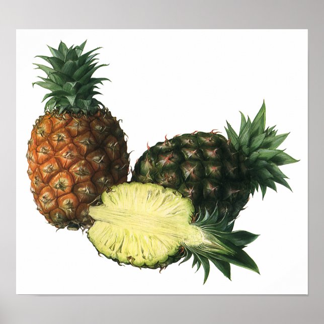 Affiches Ananas Hawaïens Vintage, Fruits Alimentaires Biolo (Devant)