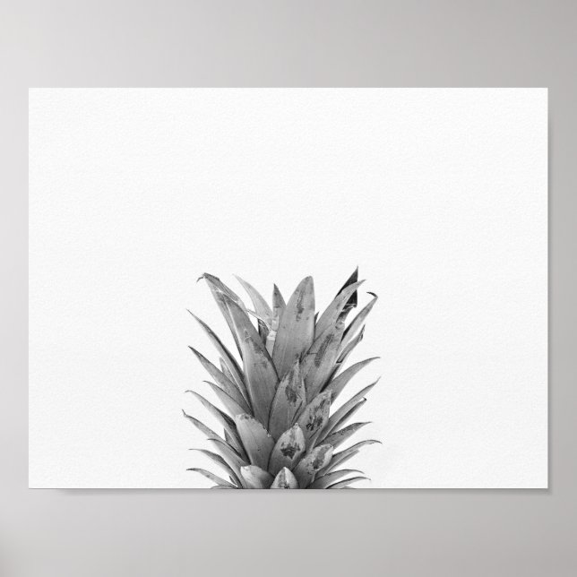 Affiches Ananas noir et blanc (Devant)