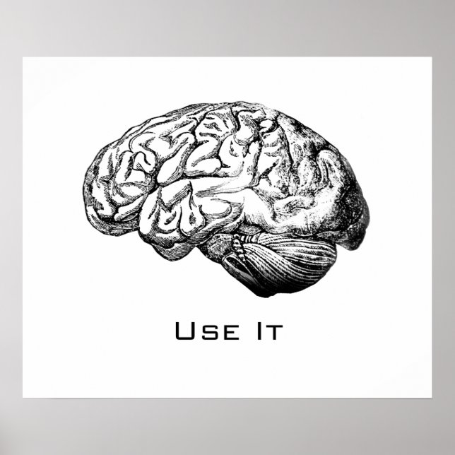 Affiches Anatomie du cerveau - Utilisez-le (Devant)