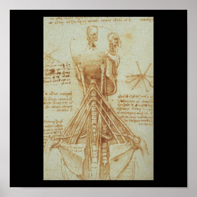 Affiches Anatomie du cou par Léonard de Vinci c. 1515 (Devant)