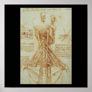 Affiches Anatomie du cou par Leonardo da Vinci C. 1515