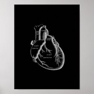 Affiches Anatomie humaine de coeur dans la copie noire et
