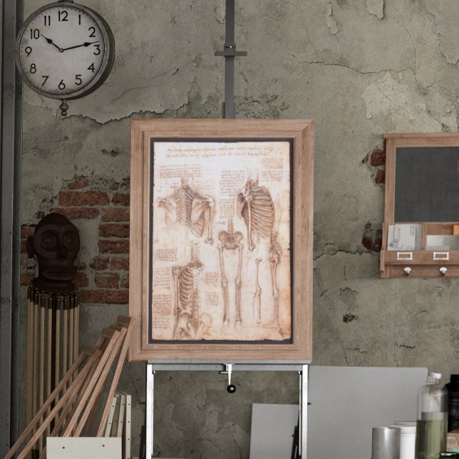 Affiches Anatomie humaine Squelette os par Leonardo da Vinc (Créateur téléchargé)