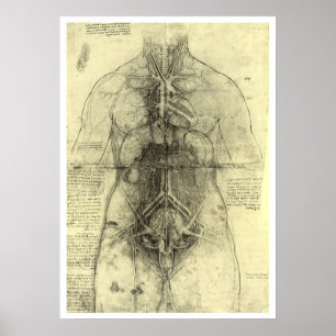 Affiches Anatomie humaine, Torse féminine par Leonardo da V