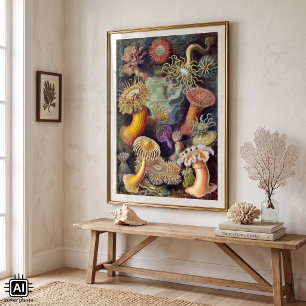 Affiches Anémones de mer vintage sous-marines par Ernst Hae