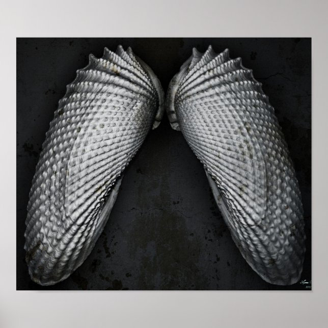 Affiches Angel Wings BW (Devant)