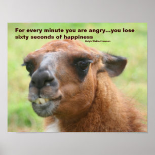 Affiches Anger Happiness Quote Llama Inspirational