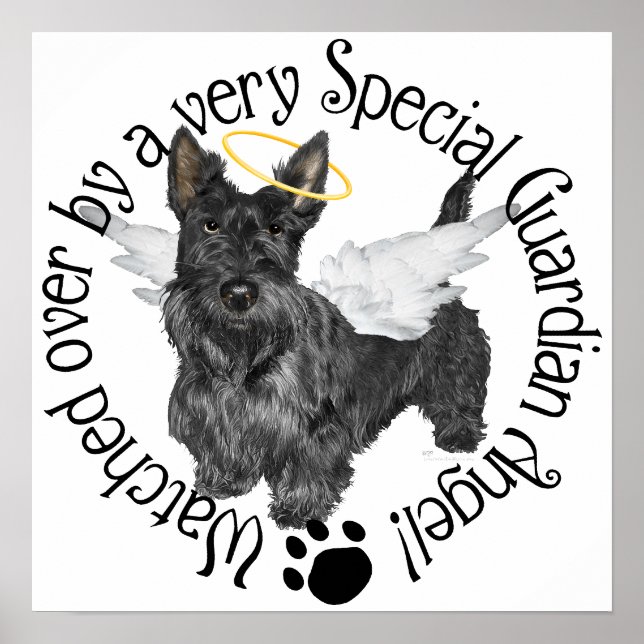 Affiches Anges Scottish Terrier (Devant)