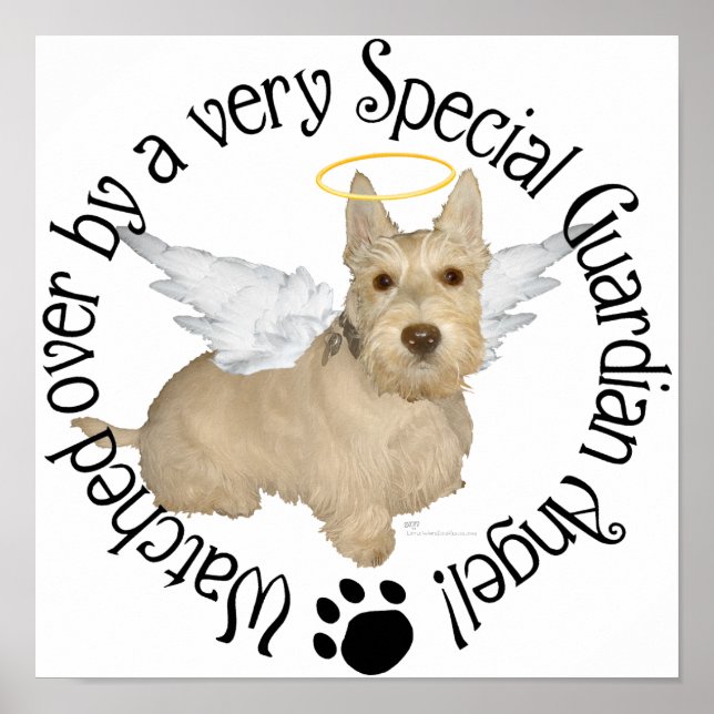 Affiches Anges Terrier Ecossais Rouquin (Devant)