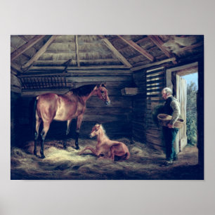 Affiches Anglais Mare Avec Ses Foals, 1833
