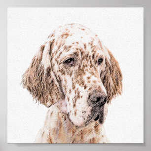 Affiches Anglais Setter Orange Belton Peinture Chien Art