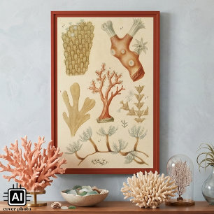 Affiches Animaux de corail vintage, manuel de biologie scie