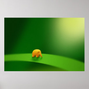Affiches Animaux micro - éléphant