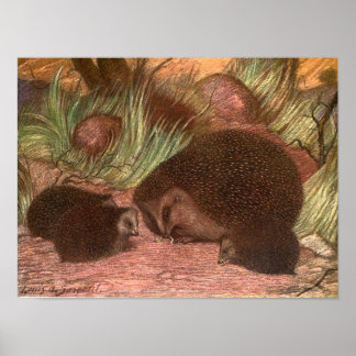 Affiches Animaux Sauvages de Collection, Hérissons par Loui