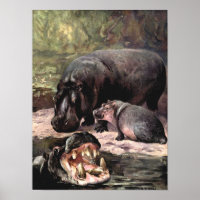 Animaux sauvages vintage, Hippopotame par CE Swan