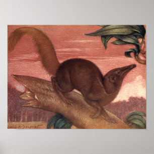 Affiches Animaux Sauvages Vintage, Toupaye par Louis Sargen