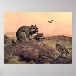 Affiches Animaux sauvages vintages, Vizcachas de Winifred A
