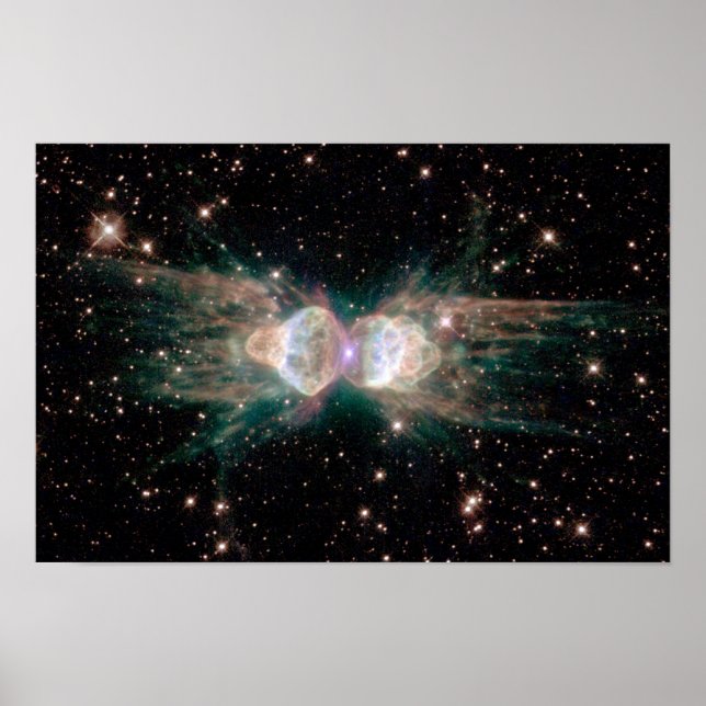 Affiches Ant Nebula (Devant)