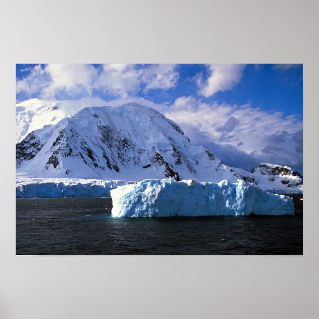 Affiches Antarctique (Devant)