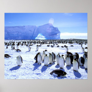 Affiches Antarctique, péninsule Antarctique, mer de Weddell