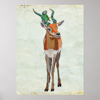 Affiches Antelope & Parrot Art