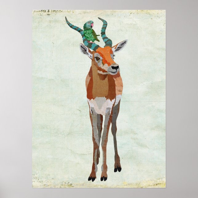 Affiches Antelope & Parrot Art (Devant)