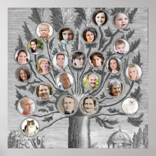 Affiches Antique arbre généalogique Insérez vos propres nom
