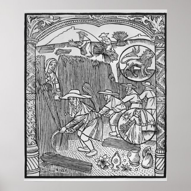 Affiches Août, récolte, Leo (Devant)