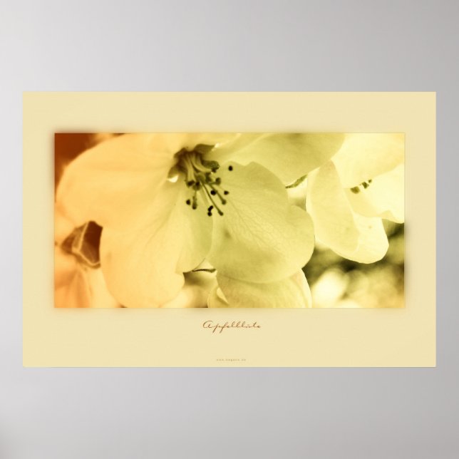 Affiches Apfelblüte (Devant)