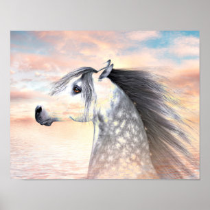 Affiches Appaloosa