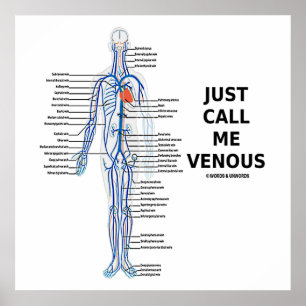 Affiches Appelez-Moi Venous Veins Système Vénus
