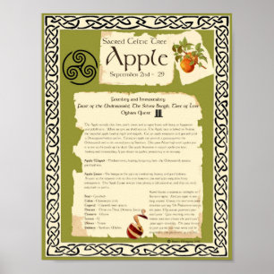 AFFICHES APPLE CELTIC SACRED TREE