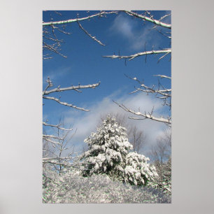 Affiches Après la tempête