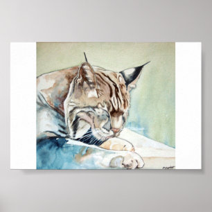 Affiches Après le dîner Washup - chat sauvage