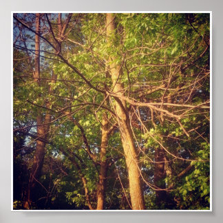 Affiches Après-midi