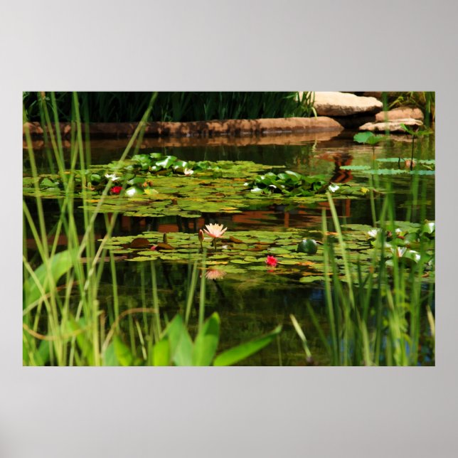 Affiches Après-midi idyllique (Devant)