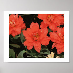 Affiches April Love par Linda Becker