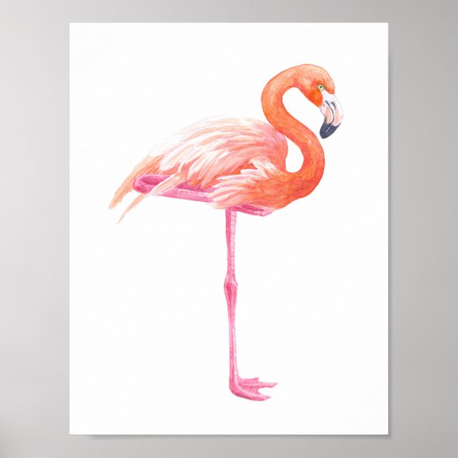 Affiches aquarelle Flamant rose (Devant)